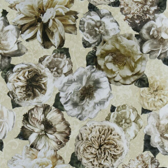 Pahari beige valkoinen kukkatapetti Designers Guildilta kuva