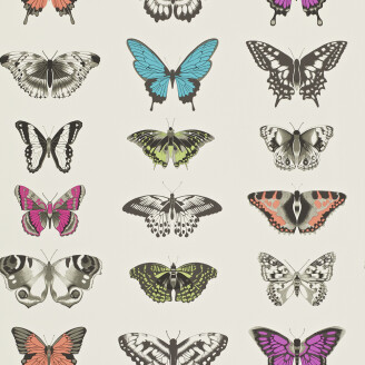 Papilio monivarinen perhostapetti Harlequinilta 111079 image
