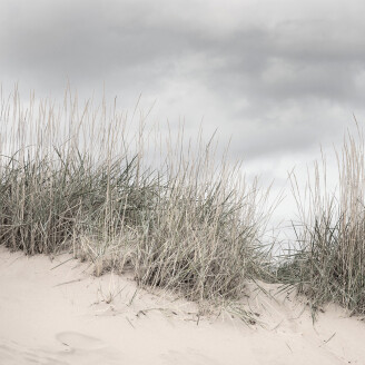 Pale Shore pilvinen hiekkavalokuvatapetti Rebel Wallsilta R16341 kuva