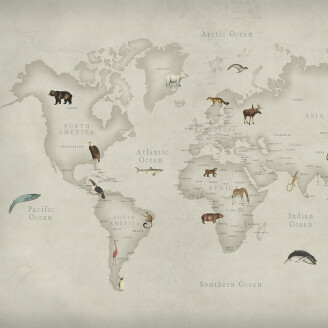 Animal World maailmankarttatapetti elaimilla Rebel Wallsilta R17231 kuva