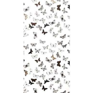 Butterfly White Black image