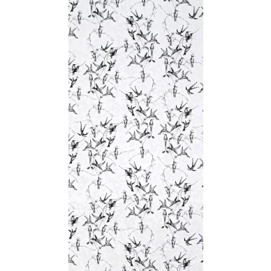 Rain Birds White Black kuva