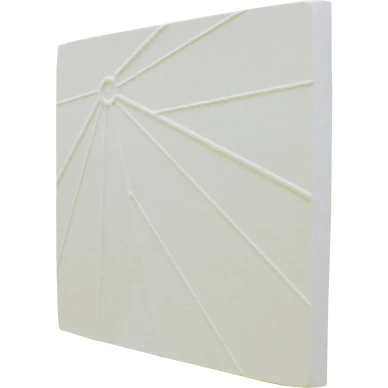 Soften L6 "Web" image