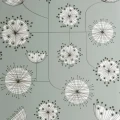 Dandelion Mobile tapet Ashness