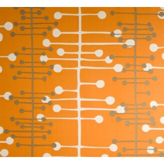 Muscat Orange kuva