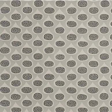 Figs - Sterling kuva