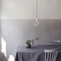 Leo kalkkimaali Kalklitirilta