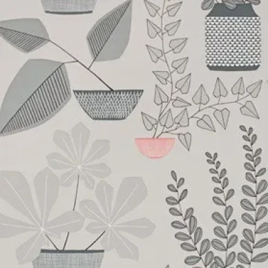 MissPrint House Plants Pompeii image