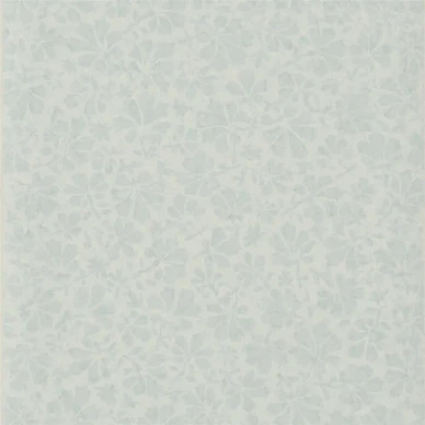 53762 image