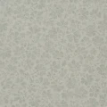 Arlay Graphite
