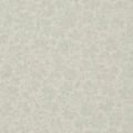 Arlay Silver