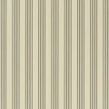Palatine Stripe Pearl