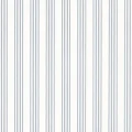 Palatine Stripe Porcelain blue