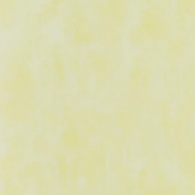 Designers Guild Parchment enfärgad tapet Alchemilla kuva