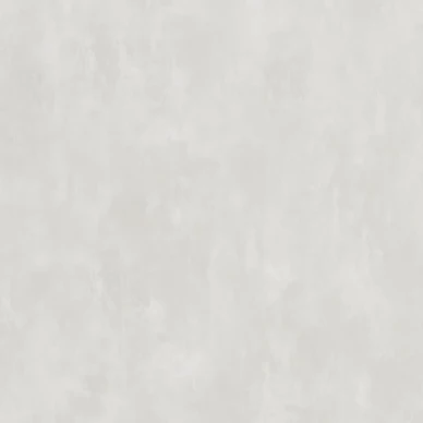 Designers Guild Parchment enfärgad tapet Silver Birch kuva