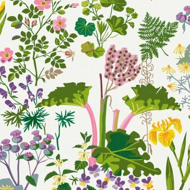 1792 Rabarber Closeup image