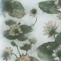 Mimou Lotus Lake tapet emerald