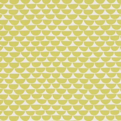 Scion Kielo tapet Citrus image
