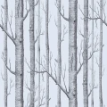 Cole & Son Woods tapet silver/brown