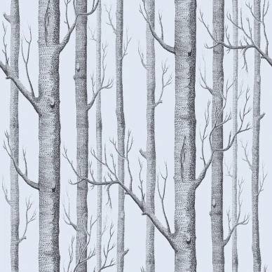 Cole & Son Woods tapet silver/brown kuva