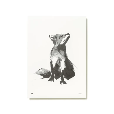 Red Fox Kettujuliste image