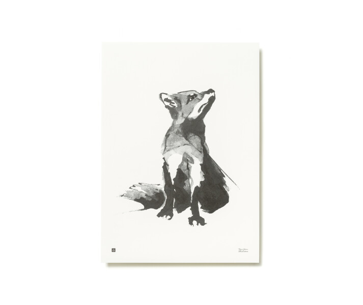 Red Fox Kettujuliste kuva