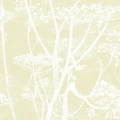 Cole et Sonin vaaleankeltainen tapetti Cow Parsley 95 9053