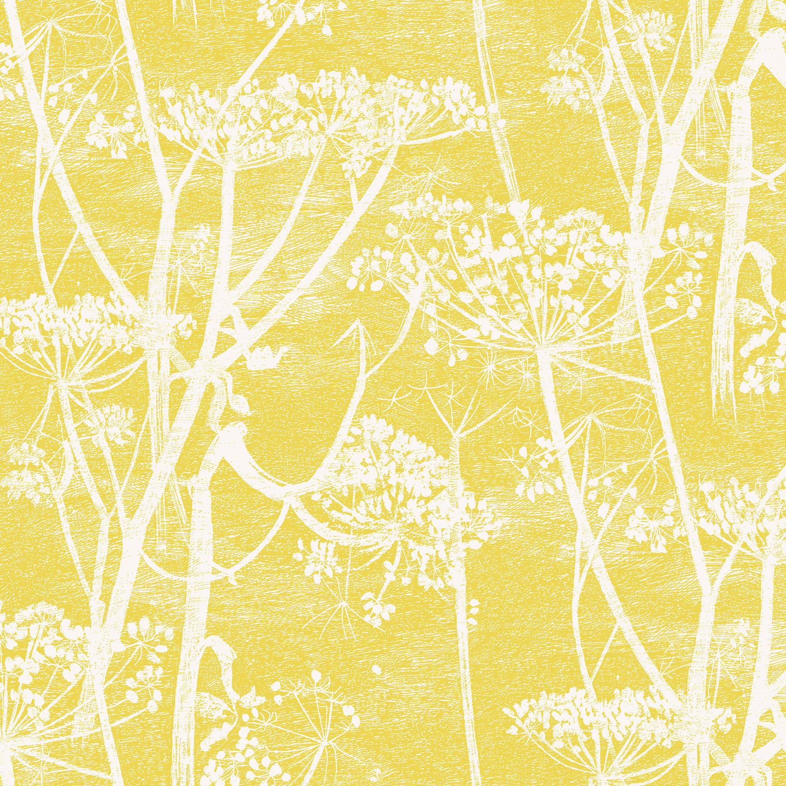 Cole & Son Cow Parsley vanhanaikainen kasvitapetti » 