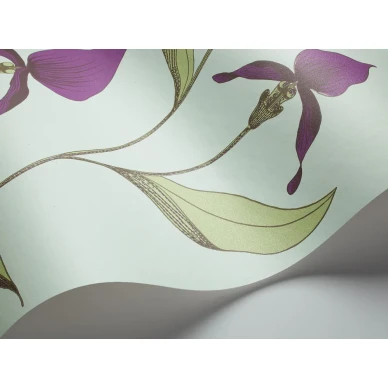Cole & Son Orchid tapet med blommor kuva