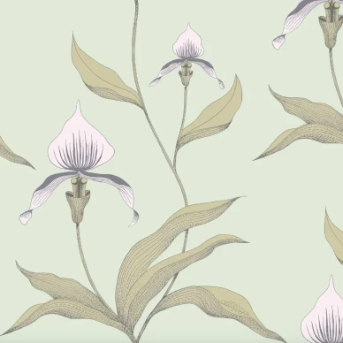 Cole & Son Orchid tapet med blommor kuva