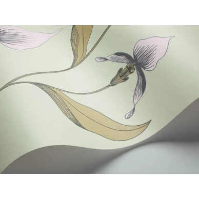 Cole & Son Orchid tapet med blommor kuva