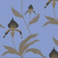 Cole & Son Orchid tapet med blommor