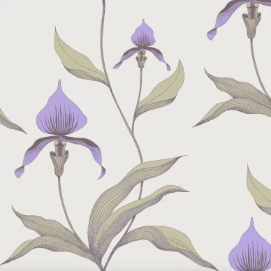 Cole & Son Orchid tapet med blommor kuva