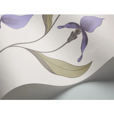 Cole & Son Orchid tapet med blommor kuva