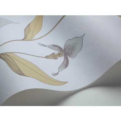 Cole & Son Orchid tapet med blommor kuva