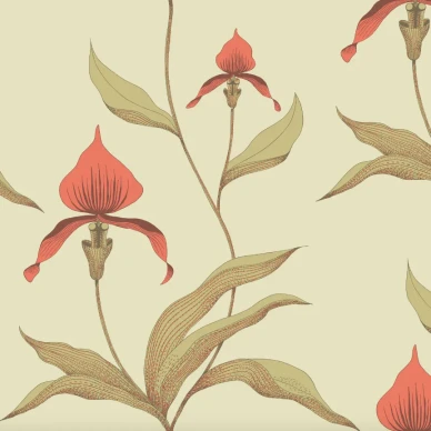 Cole & Son Orchid tapet med blommor kuva
