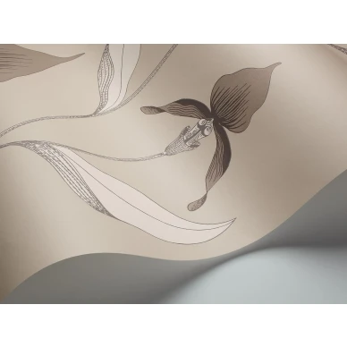 Cole et Sonin beige kukkatapetti Orchid 95 10058 kuva