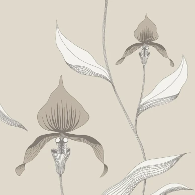 Orchid beige kukkatapetti Cole et Sonilta 95 10058 kuva