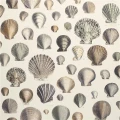 Designers Guild Captain Thomas tapet Oyster