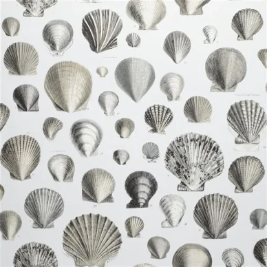 Designers Guild Captain Thomas tapet Pearl image
