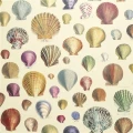 Designers Guild Captain Thomas tapet Sepia