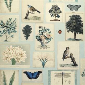 Designers Guild Flora and Fauna tapet blue image