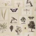 Designers Guild Flora and Fauna tapeter canvas