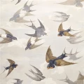 Designers Guild Chimney Swallows  tapet dawn