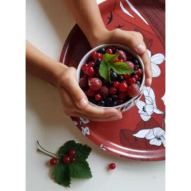 Punainen pohjanmaatarjotin Aveolta kuva