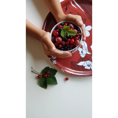 Rod Osterbottenbricka kuva