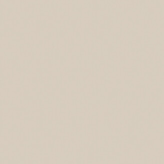 Almond Boras Pigment 7551 image