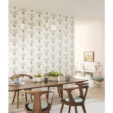 Crassula tapeter image