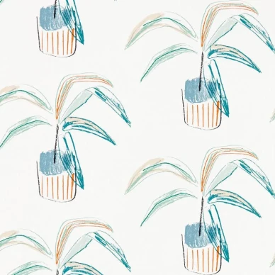 Crassula tapeter image