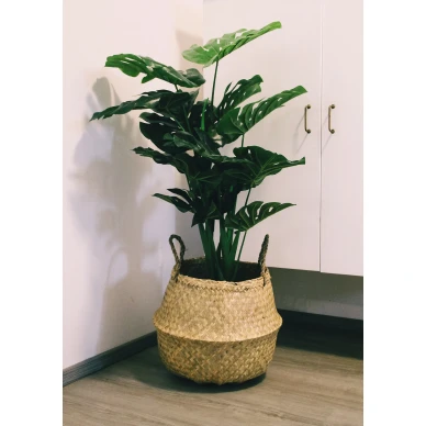 Floria Nature sailytyskori kuva